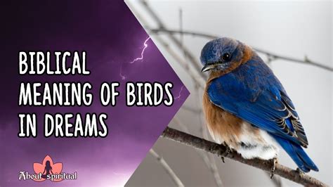 The Symbolism of Two Birds in a Dream: A Biblical Perspective